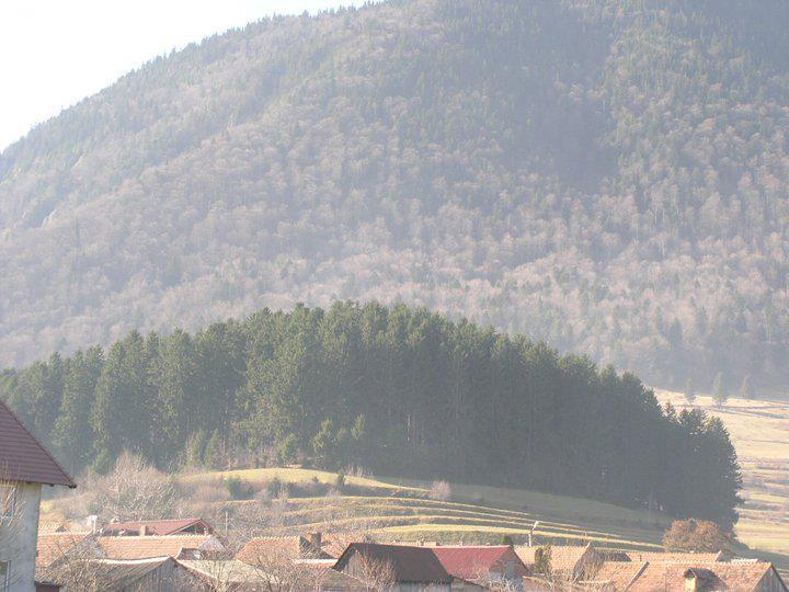 Sura Pietrei Craiului Hotell Zărneşti Eksteriør bilde